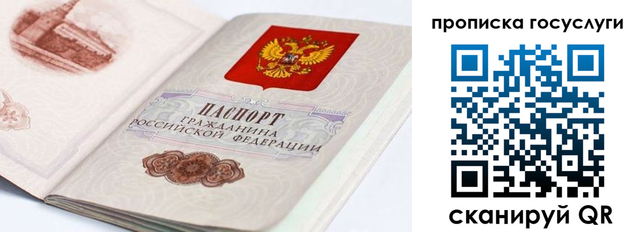 прописка гарантия в Осе